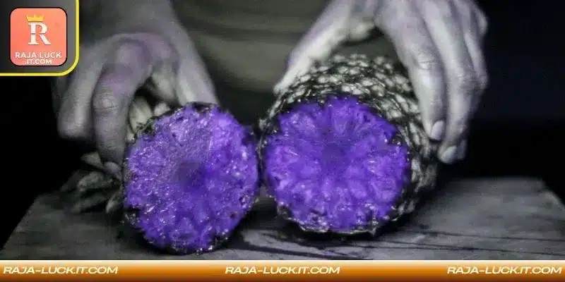 Electrical patterns forming above forest treetops during thunderstorms